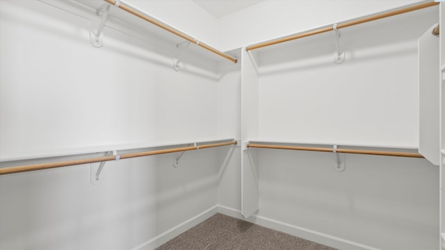 6564 W 38th Ave, Kennewick, WA 99338 - walk in closet with carpet