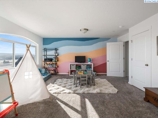 recreation room featuring carpet