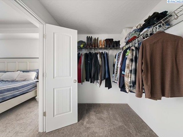 walk in closet featuring carpet floors