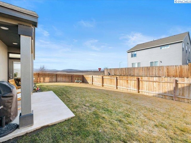 view of yard featuring a patio and a fenced backyard