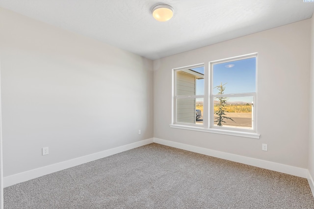 6905 Rd 108, Pasco, WA 99301 - photo 21