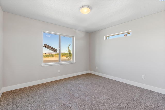 6905 Rd 108, Pasco, WA 99301 - photo 20