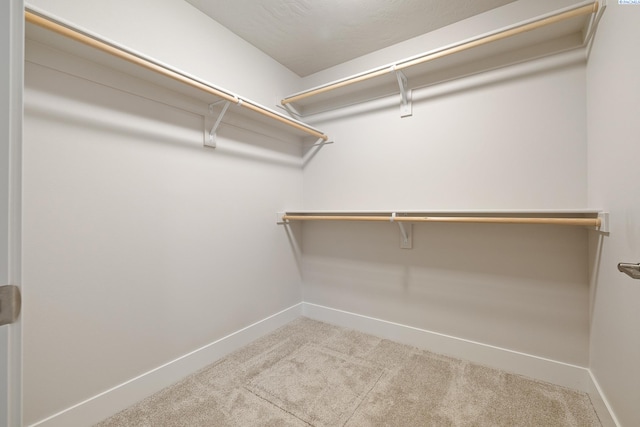 10409 Kokanee Dr, Pasco, WA 99301 - walk in closet featuring carpet flooring