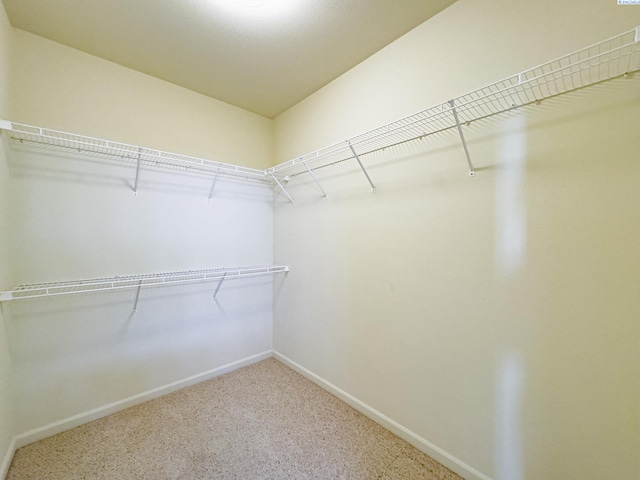 walk in closet with carpet