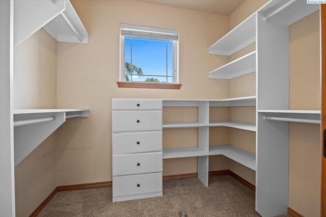 100 S Nevada St, Kennewick, WA 99336 - spacious closet with carpet floors