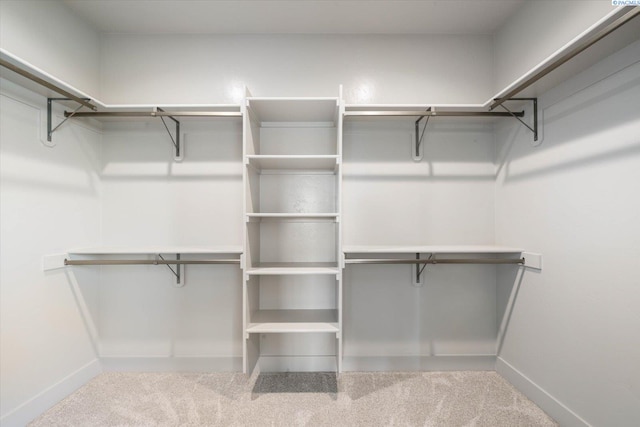 671 Cortona Way, Richland, WA 99352 - walk in closet featuring carpet floors