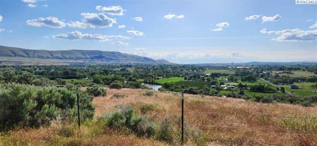 NKA Demoss Rd, Benton City, WA 99320 - photo 4