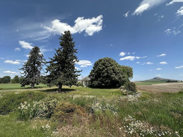 1732 Klaveano Rd, Thornton, WA 99176 - photo 31
