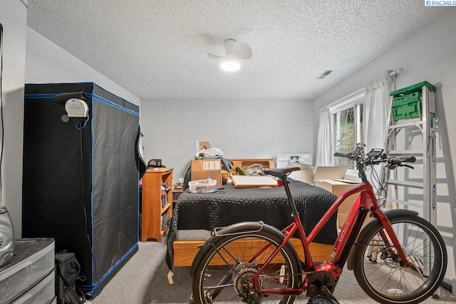 320 SW Kimball Dr, Pullman, WA 99163 - carpeted bedroom with a textured ceiling
