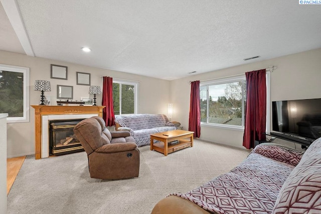 320 SW Kimball Dr, Pullman, WA 99163 - living area with plenty of natural light, carpet floors, baseboards, a textured ceiling, and recessed lighting