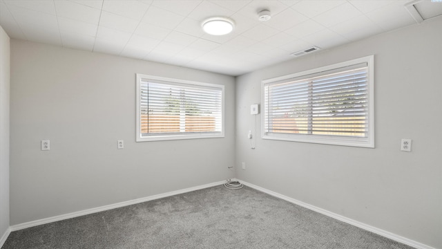1353 Carolina Ave, Richland, WA 99352 - photo 17