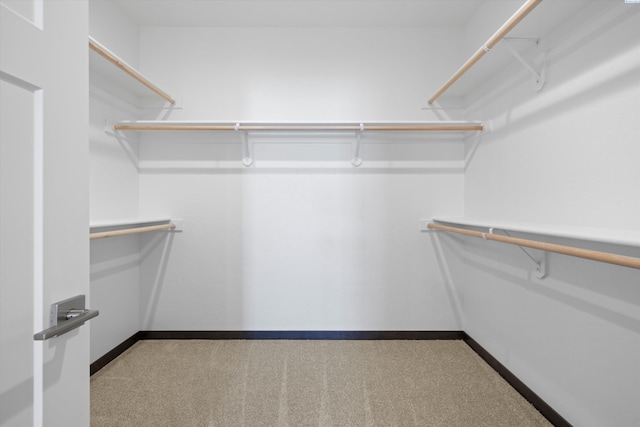 walk in closet featuring carpet flooring