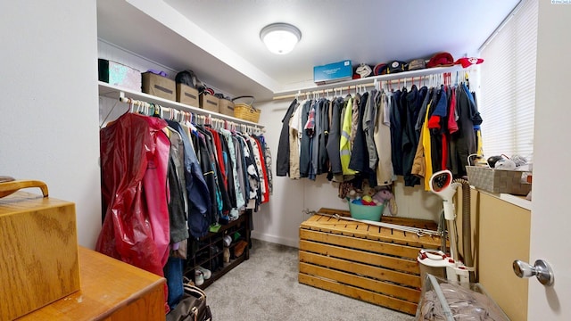 walk in closet with carpet