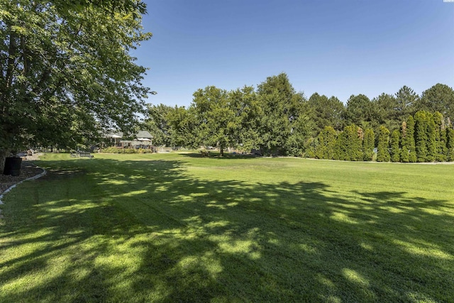 7816 W Argent Rd, Pasco, WA 99301 - view of yard