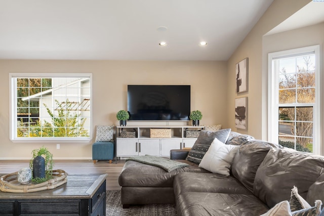 living area featuring baseboards, wood finished floors, recessed lighting, and a healthy amount of sunlight