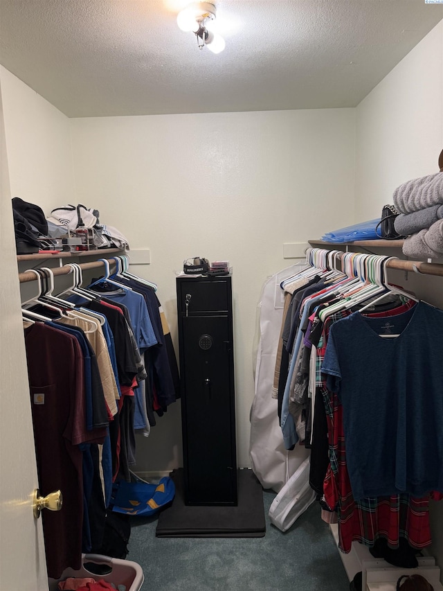 1336 Semillon Pl, Prosser, WA 99350 - walk in closet with carpet