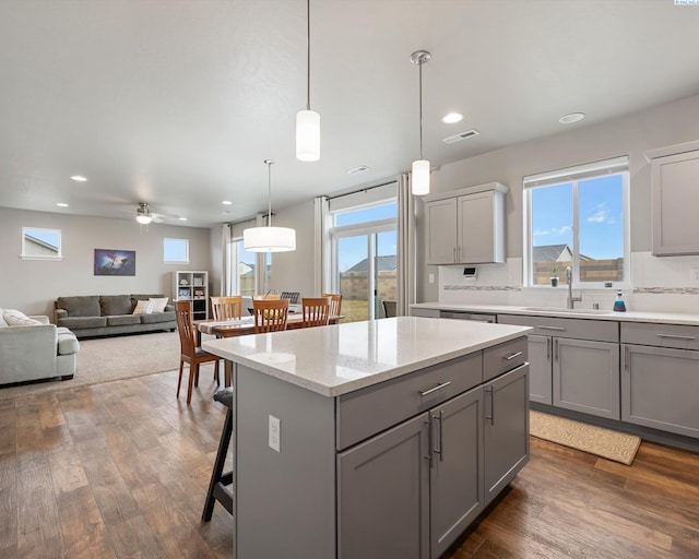 kitchen featuring wood finished floors, a sink, and gray cabinetry