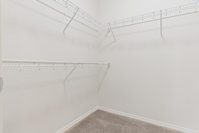 4611 Arabian Ln, Pasco, WA 99301 - walk in closet featuring carpet