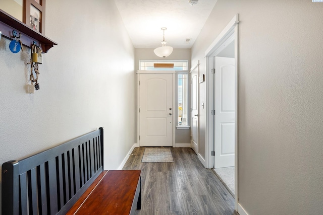 foyer entrance featuring dark wood-style floors, plenty of natural light, and baseboards