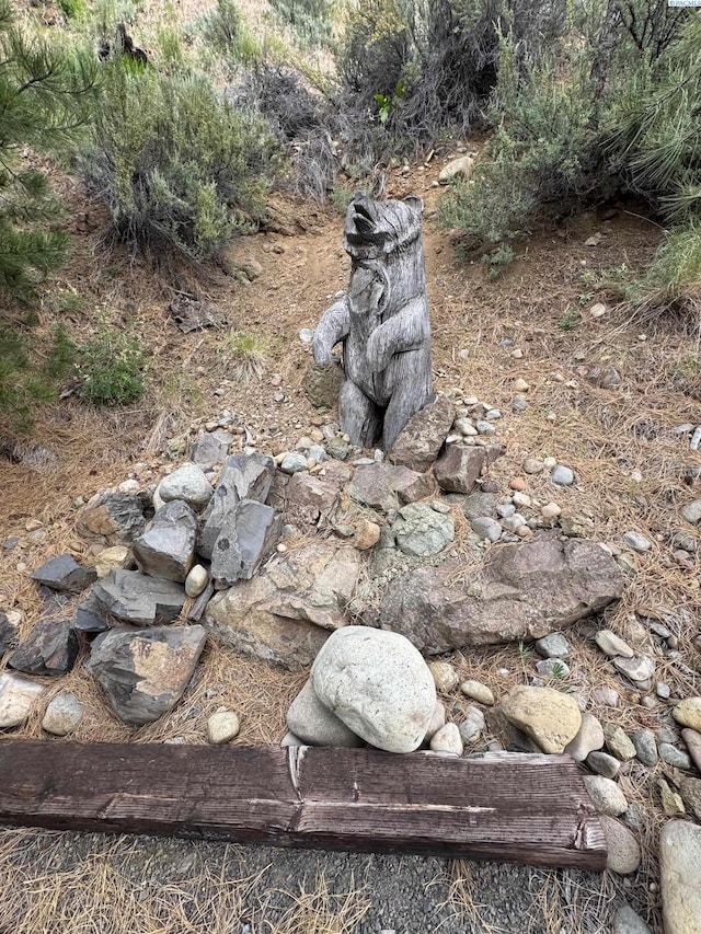 NKA State Route 410, Naches, WA 98937 - photo 6