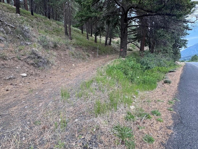 NKA State Route 410, Naches, WA 98937 - photo 8