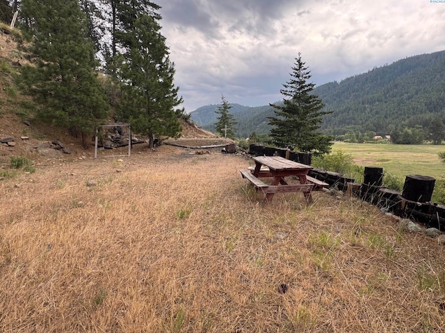 NKA State Route 410, Naches, WA 98937 - photo 4