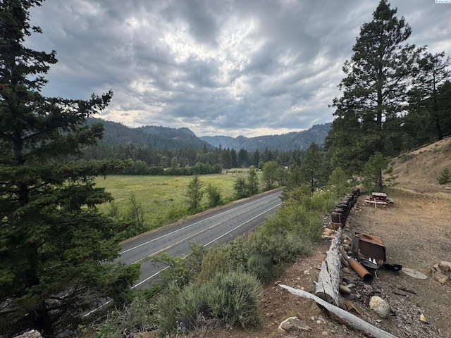 NKA State Route 410, Naches, WA 98937 - photo 13