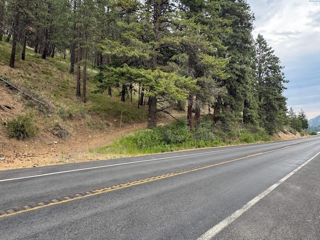 NKA State Route 410, Naches, WA 98937 - photo 9