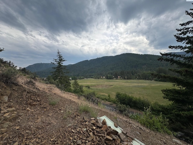 NKA State Route 410, Naches, WA 98937 - photo 10