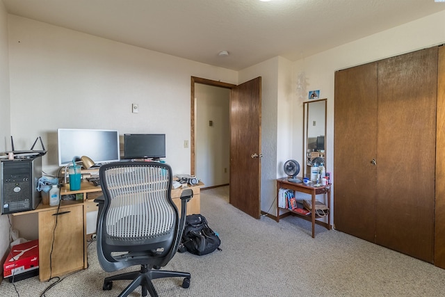 393 NW Dillon St, Pullman, WA 99163 - photo 23