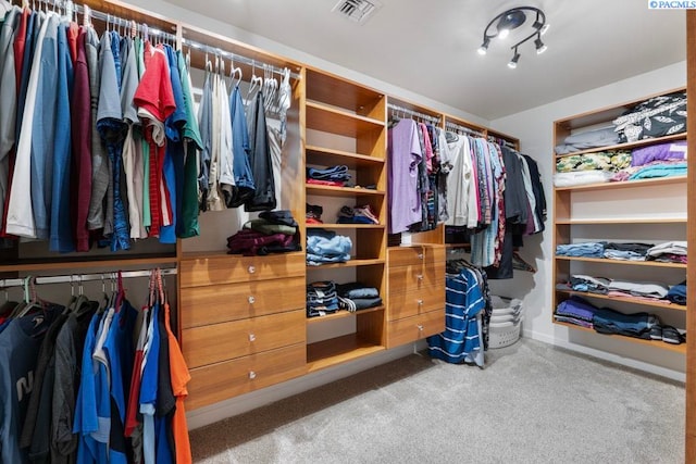 970 SW Itani Dr, Pullman, WA 99163 - spacious closet with carpet floors
