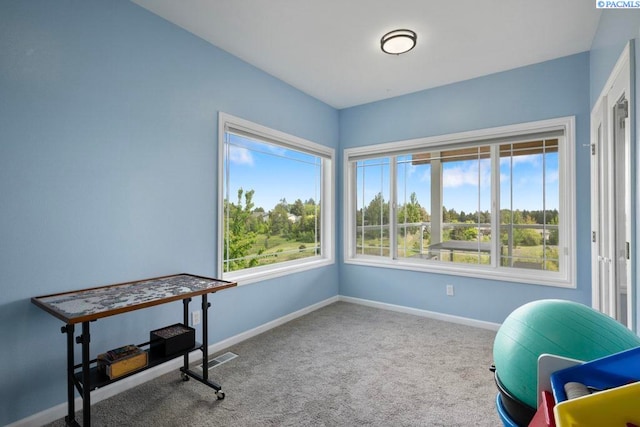 970 SW Itani Dr, Pullman, WA 99163 - exercise room featuring carpet, plenty of natural light, and baseboards