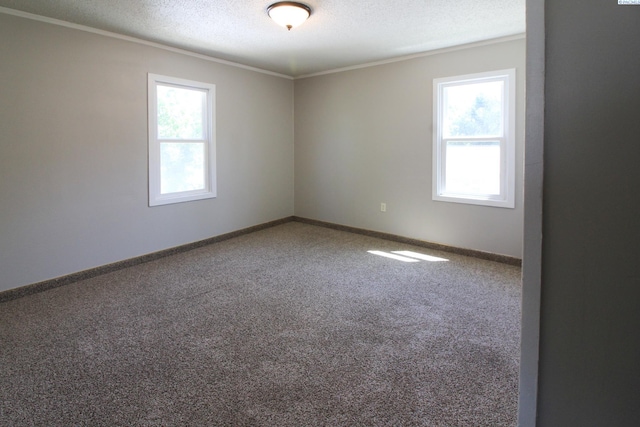 1419 Kimball Ave, Richland, WA 99354 - photo 8