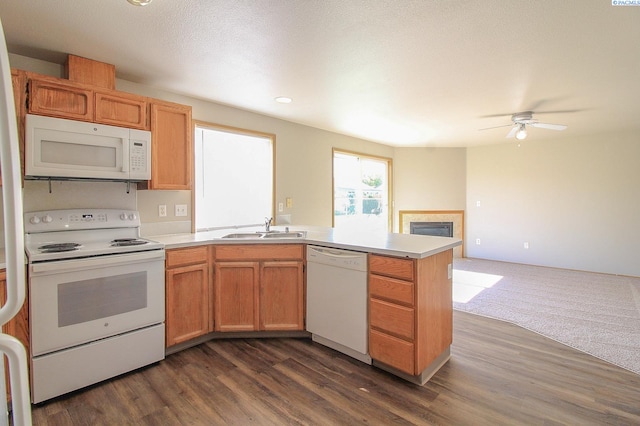 6503 Ruth Dr, Pasco, WA 99301 - photo 25