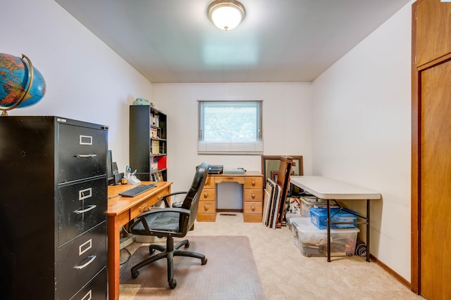 609 N Perkins Ave, Colfax, WA 99111 - view of carpeted office