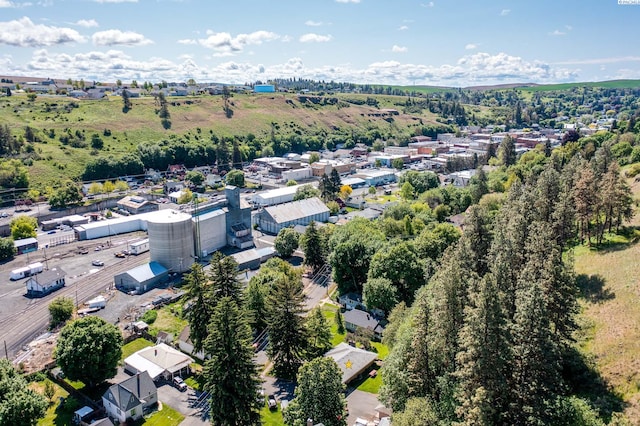 609 N Perkins Ave, Colfax, WA 99111 - bird's eye view