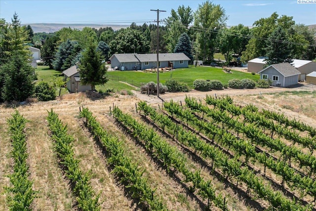 96604 E Clover Rd, Kennewick, WA 99338 - view of yard with an outbuilding
