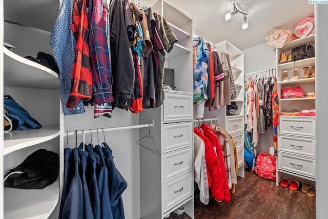 walk in closet featuring dark wood-type flooring
