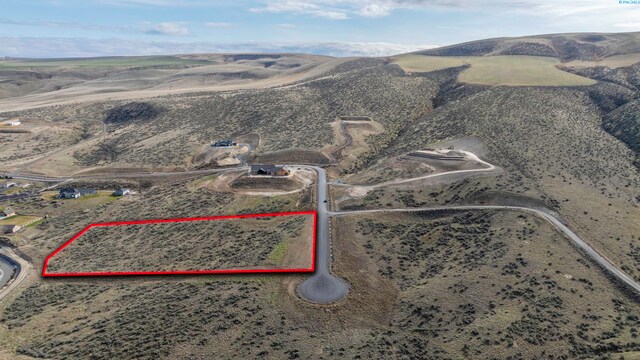 7281 Homestead Rd, Kennewick, WA 99338 - photo 5
