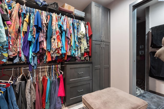 9115 W Maple Dr, Pasco, WA 99301 - view of spacious closet