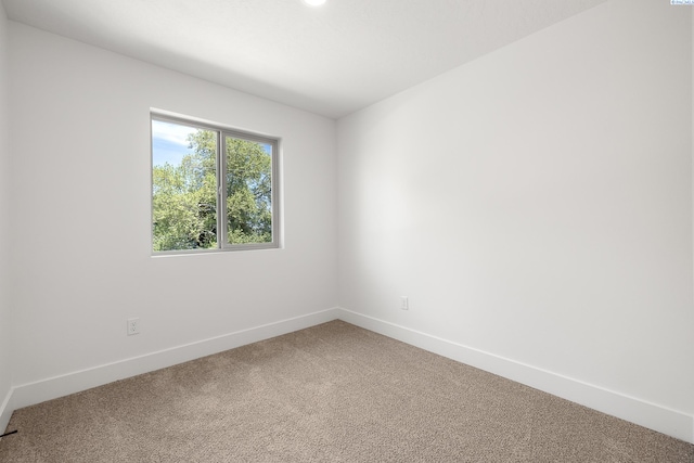 1031 S Underwood Pl, Kennewick, WA 99337 - photo 12