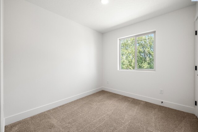 1031 S Underwood Pl, Kennewick, WA 99337 - photo 10