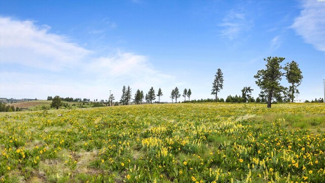 580 Reservoir Ln, Pomeroy, WA 99347 - photo 12