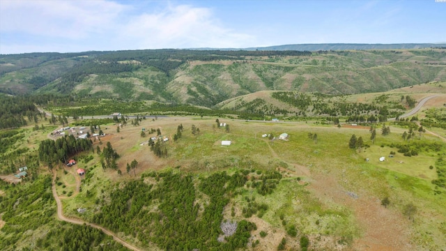 580 Reservoir Ln, Pomeroy, WA 99347 - photo 39