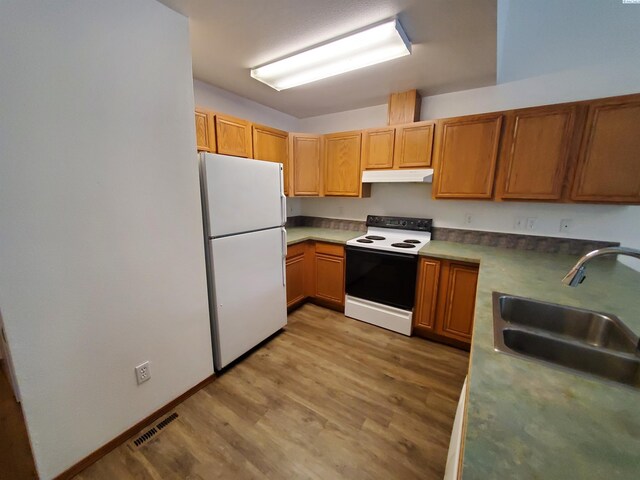 1135-1137 NE Indiana St, Pullman, WA 99163 - kitchen featuring freestanding refrigerator, electric range, light wood-type flooring, under cabinet range hood, and a sink