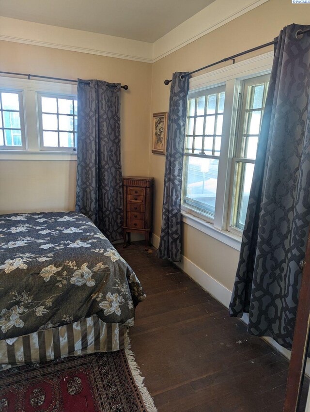 bedroom featuring dark hardwood / wood-style floors and multiple windows