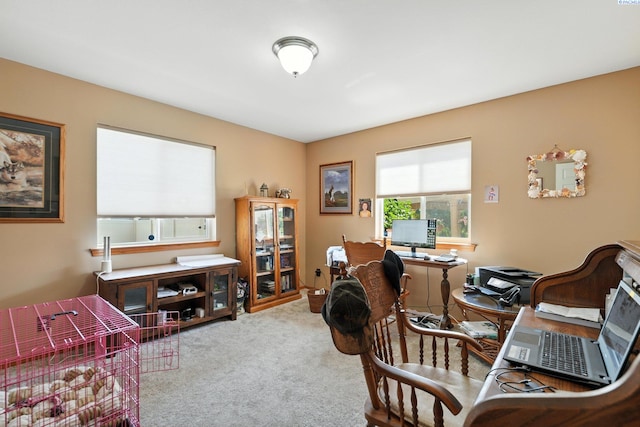 22803 Cottonwood Springs Blvd, Kennewick, WA 99338 - photo 11
