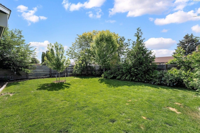 4611 W 6th Ave, Kennewick, WA 99336 - photo 14