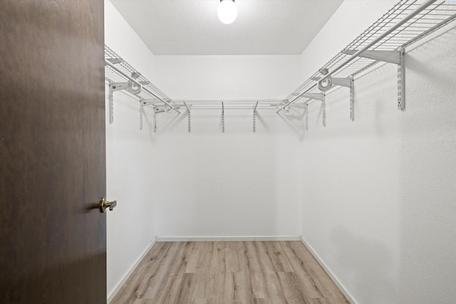 walk in closet featuring light wood finished floors