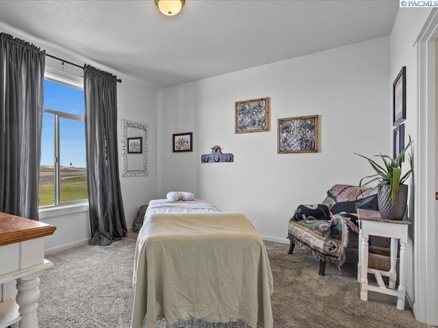 bedroom featuring baseboards, multiple windows, and carpet flooring